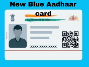 New Blue Aadhaar card